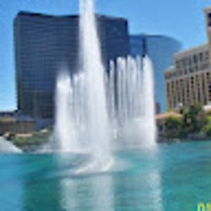 Meet your Posher, Paul